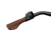 LIV Allure E+ 2 click to zoom image