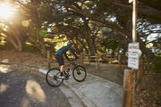 GIANT Roam Disc 2 click to zoom image