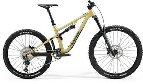 MERIDA One-Sixty 500 - Gold - MY24