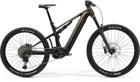 MERIDA eOne-Sixty 875 - Gold/Grey - MY25